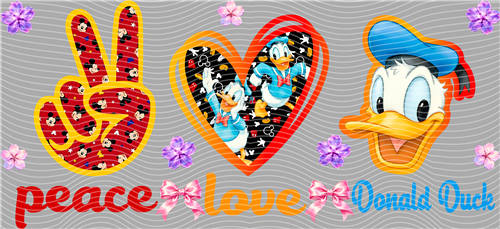 16oz Disney-D 4051